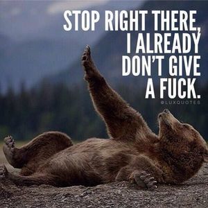 Meet your Posher, Logan